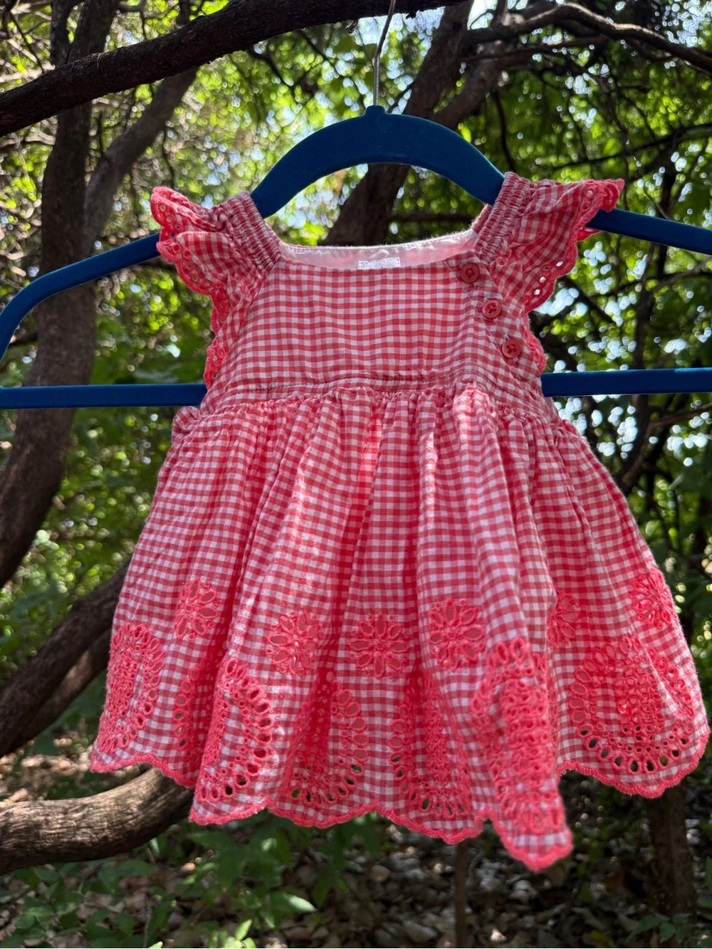 Baby Gap Embroidered Gingham Scalloped Frock